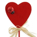 Floristik24 Houten hart op stokje rood 4,5cm 24st