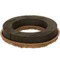 Floristik24 Bloemenfoam ring OASIS® Renewal® Bloemenfoam Biolit® 24cm 2 stuks
