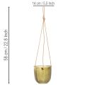 Glazen bloempot/hanglantaarn, paars/groen, 14 cm, 2 stuks | Floristik24.nl