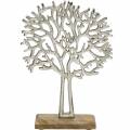 Floristik24 Decoratieve boom beuken zilver, boomsilhouet van metaal, decoratieve boom op mangohout