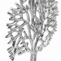 Floristik24 Decoratieve boom beuken zilver, boomsilhouet van metaal, decoratieve boom op mangohout