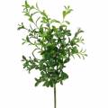 Floristik24 Buxustakken Buxusboom op een stokje Groene kunstplant 6 stuks