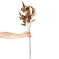Kunstmatige coleus met rode bladeren, kunstplant, 20 cm | Floristik24.nl