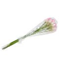 Calla decoratieve bloem roze 57cm 12st | Floristik24.nl