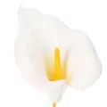 Kunstmatige callalelie met gele meeldraden, decoratieve bloemen, 35 cm, 10 stuks | Floristik24.nl