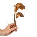 Tuinstekers met Calla-bloemmotief voor graven en bloemstukken, 25 cm, 6 stuks | Floristik24.nl