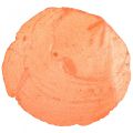 Floristik24 Capiz-schelpen Capiz-schijfjes Parelmoerschijfjes oranje 7,5–9,5 cm 300 g