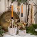 Floristik24 Kerstboomversiering, adventsversiering, sterhangers goud B30cm 4st