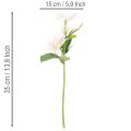 Kunstkerstrozenboeket, kerstboeket, 35 cm, 6 stuks | Floristik24.nl