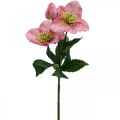 Kerstroos, lenteroos, nieskruid, kunstplanten roze L34cm 4st
