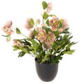 Floristik24 Kunstmatige Helleborus in pot, kerstroos, voor huisdecoratie, 50 cm