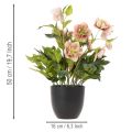 Kunstmatige Helleborus in pot, kerstroos, voor huisdecoratie, 50 cm | Floristik24.nl