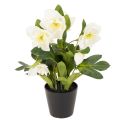 Floristik24 Kunstmatige kerstroos, potplant, tafeldecoratie, 34 cm
