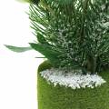 Floristik24 Kerstroos met dennenboom en mosballen kunstmatig wit gesneeuwd 33cm