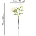 Kunstmatige chrysanten, crèmewitte bos, decoratieve tak, groot 56 cm, 4 stuks | Floristik24.nl