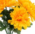 Floristik24 Chrysanthemum geel met 7 bloemen