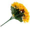 Floristik24 Chrysanthemum geel met 7 bloemen