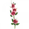 Floristik24 Clematis tak met 5 bloemen, kunstbloem, decoratieve tak roze, wit L84cm