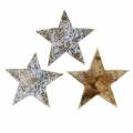 Floristik24 Kokosster wit grijs 5cm 50st Advent stars scatter decoratie