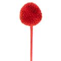 Gedroogde Craspedia-bloemen, geverfd, met lange stelen, 55 cm, 20 stuks | Floristik24.nl
