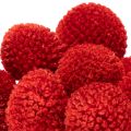 Gedroogde Craspedia-bloemen,