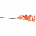 Floristik24 Orchidee kunstbloem Cymbidium Oranje 74cm
