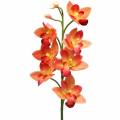 Floristik24 Orchidee kunstbloem Cymbidium Oranje 74cm
