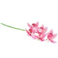 Floristik24 Cymbidium orchidee kunst 5 bloemen roze 65cm