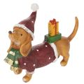 Floristik24 Decoratief teckelbeeldje met geschenkverpakking en hoedje, 18 cm