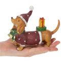 Decoratief teckelbeeldje met geschenkverpakking en hoedje, 18 cm | Floristik24.nl