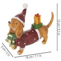 Decoratief teckelbeeldje met geschenkverpakking en hoedje, 18 cm | Floristik24.nl