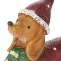 Decoratief teckelbeeldje met geschenkverpakking en hoedje, 18 cm | Floristik24.nl