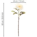 Kunstmatige dahlia voor vaas, 68 cm | Floristik24.nl