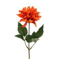 Floristik24 Dahlia Oranje 28cm 4st
