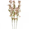 Floristik24 Siertak met bloemen kunstroze Daphne tak 110cm 3st