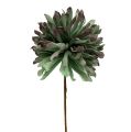 Floristik24 Decoratieve bloementak schuim groen 70cm