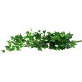 Floristik24 Decoratieve klimophanger groen 48cm