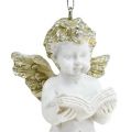 Floristik24 Decoratieve engel om 6.5cm wit op te hangen