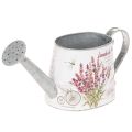 Floristik24 Decoratieve metalen gieter, lavendel, retro tuindesign, 30×11×14,5 cm