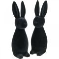 Floristik24 Decoratief konijn zwart decoratief paashaas gevlokt H29,5cm 2st