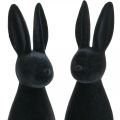 Floristik24 Decoratief konijn zwart decoratief paashaas gevlokt H29,5cm 2st