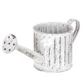 Floristik24 Decoratieve gieter, plantenbak, gieter voor het beplanten van planten Ø10,5 cm