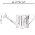 Decoratieve gieter, plantenbak, gieter voor het beplanten van planten Ø10,5 cm | Floristik24.nl