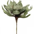 Floristik24 Deco lotusbloem kunst lotusbloem kunstbloem groen L70cm
