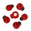 Floristik24 Decoratieve lieveheersbeestjes om te lijmen 1,5cm rood 360st