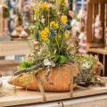 Floristik24 Decoratieve wortel, betonnen decoratie voor planten, Pasen, wortelplantpot, lentedecoratie L28cm