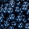 Decoratieve kralen Ø10mm blauw 115 st | Floristik24.nl
