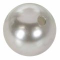 Sierkralen Ø2cm zilver 12 st | Floristik24.nl