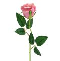 Floristik24 Decoratieve roos Ø6cm schemerig roze L50cm 1 st