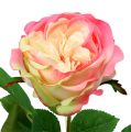 Floristik24 Deco rose roze Ø10cm 52cm 3st